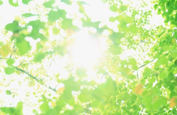 Go To True Nature! あなたの「生活」を変える新感覚トレーニング！【パーソナルトレーニング True Nature】